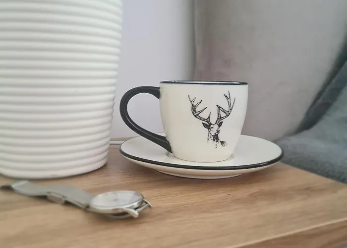 Green Apartament Dziwnow Apartment