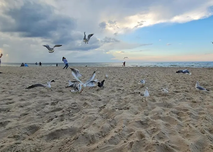 Green Apartament Dziwnow Apartment Dziwnów